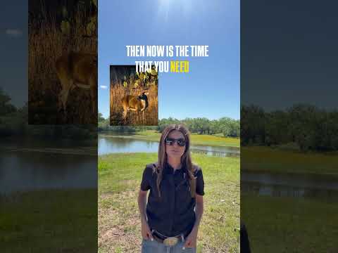 If you want a buck like this in your property, now is the time to be looking at buying.