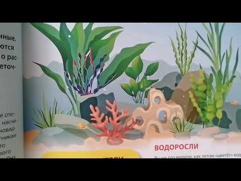 Виды и особенности растений