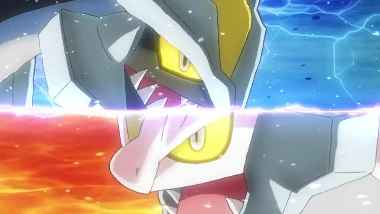 black white kyurem Pokemon VGC 2019 sun series