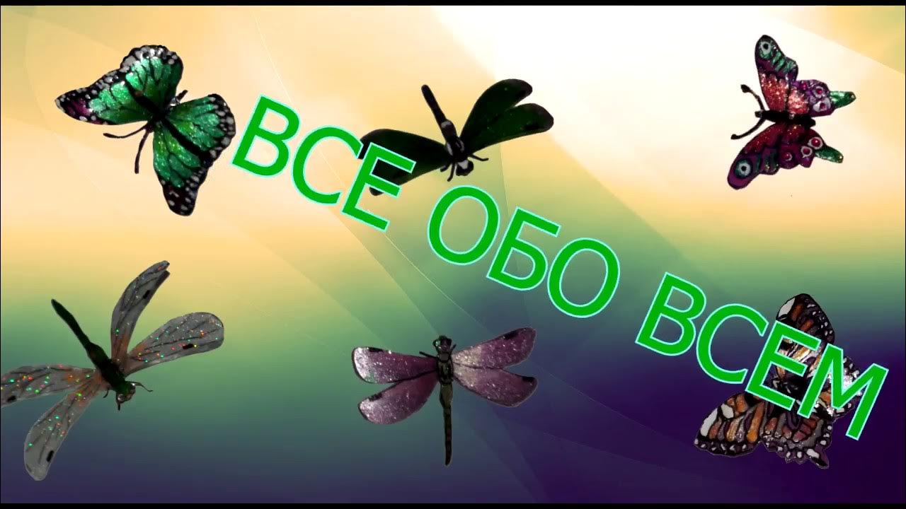 Красивые бабочки и стрекозы для декора - YouTube