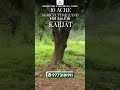 Mountains &amp; Waterfall views 10 Acre Agriculture Land For sale in karjat.