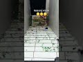 so relaxing bro