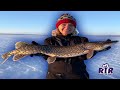 Nonstop Northern Pike Action - Alaska Ice Fishing