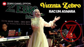 RACUN ASMARA cover YUZNIA ZEBRO ZEBRO MUSIC