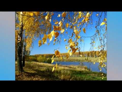 Природа осенью красивые пейзажи смотреть