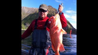 РЫБАЛКА И ПОДВОДНАЯ ОХОТА В НОРВЕГИИ.Wild Fishing Norway