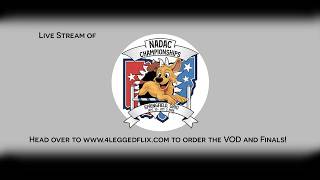 NADAC Championships 2026 - Round 1 (Ring 1)
