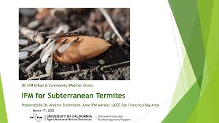 Understanding Subterranean Termites: the Social Cockroaches Eating Our Homes