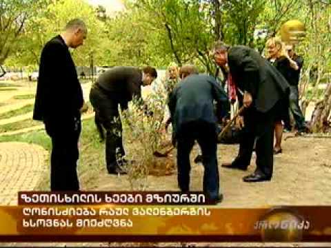 რაულ ვალენბერგი