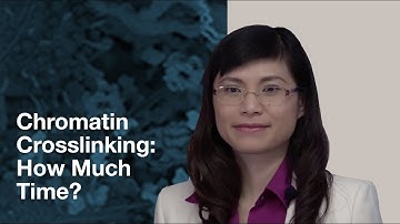 Chromatin crosslinking: how much time? Chromatin Immunoprecipitation (ChIP)  | CST Tech Tips