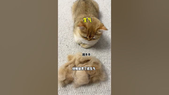 【牛奶是只猫】给显眼包也做了个羊毛毡！就是有点费猫哈哈哈哈!