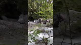 Musa Eroğlu - Sevda Ya Gidersen Yolun Ben Olam