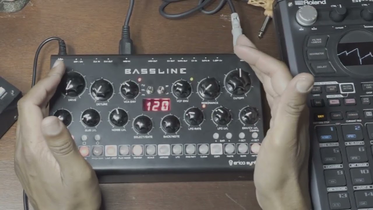 BASSLINE erica synths モジュラーシンセサイザー Erica Synths Bassline DB-01— Clockface Modular