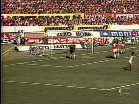Campeões do Brasil: O hexa do Flamengo