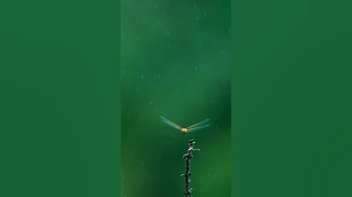 30 PHOTOS PER SECOND 🔥 WAIT FOR IT ❤️ SONY a1 #shorts