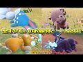 【No01】ピクニックで全ポケモンのお昼寝シーンを見て癒されるだけの動画【ポケモンSV】Pokémon picnic