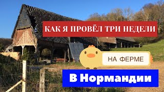 ФРАНЦУЗСКАЯ ДЕРЕВНЯ, ТРИ НЕДЕЛИ КАРАНТИНА COVID-19 В 2021 ГОДУ НА ФЕРМЕ ! РОМАНТИКА!!!!