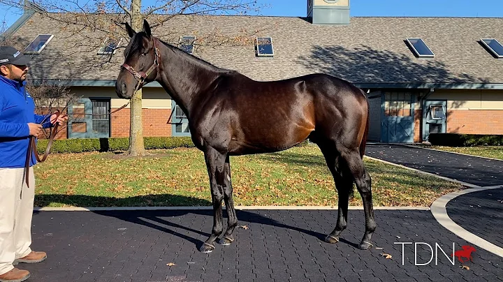 Brendan Walsh Visits Maxfield at Darley's Jonabell...