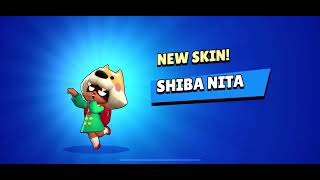 Shiba Nita Resimi