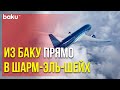 AZAL Совместно с PASHA Travel Открыли Чартерные Рейсы в Египет | Baku TV | RU