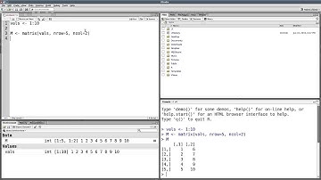 2d data structures in R