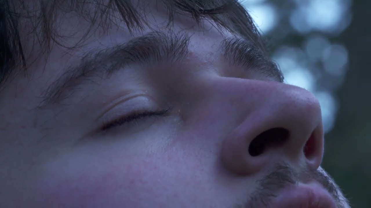 A Place Among the Trees (Edited and Directed by Tom Everell)