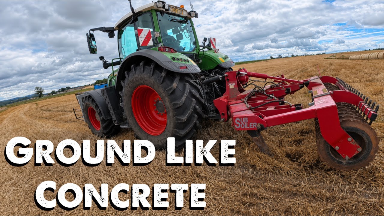 Last Ditch Attempt | Heavy Cattle | Botch Repair