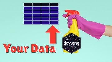 Data Cleaning with the tidyverse (by Statistics Globe)