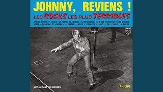 Video thumbnail of "Johnny Hallyday - Celui que tu préfères"