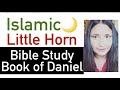 Daniel’s Prophecy LITTLE HORN Antichrist Bible Study