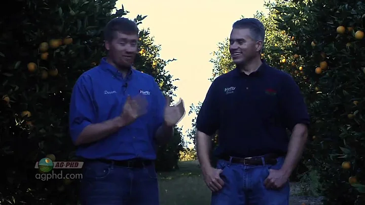 Weed of the Week #669-Jointed Goatgrass (Air Date 1/30/11)