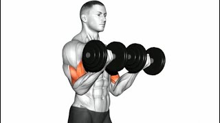 Best Bicep Exercises You Should Be Doing (Dumbbell Only)