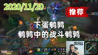 东北大鹌鹑1120P5提莫（推荐）：下蛋鹌鹑，鹌鹑中的战斗鹌鹑