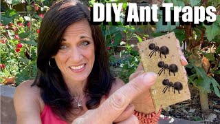 How to Control Ants in the Garden Organically With DIY Ant Traps 🐜 🐜 🐜 🐜