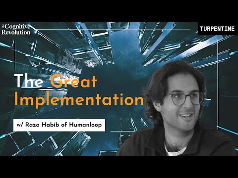 E20: The Great Implementation with Raza Habib, CEO of Humanloop