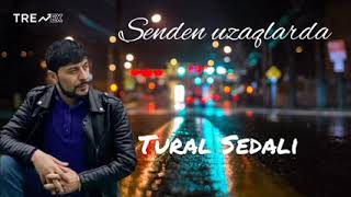 Tural Sedali - Senden Uzaqlarda 2023 Resimi