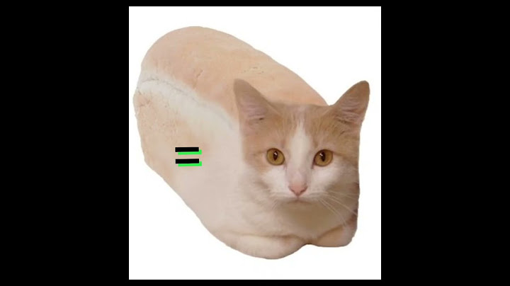 cat + bread=???