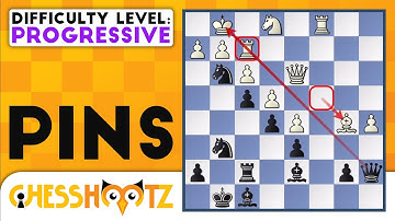 Pins - Progressive Level (Exploiting Pins)