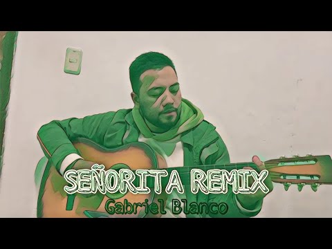 Señorita remix -