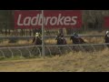 View race 5 video for 2026-08-08