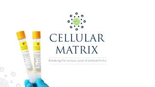 RegenLab Cellular Matrix HA kit