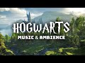 Relaxing Summer Day/Night at Hogwarts with Music Playing in the Distance | Harry Potter Ambience