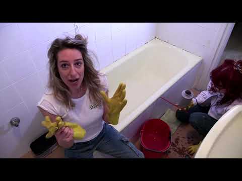 Video: Come sbarazzarsi delle formiche nella vasca da bagno? C'è una soluzione