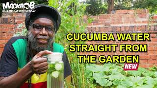 ⁣Macka B's Wha Me Eat Wednesdays 'Cucumba Water Straight From The Garden'