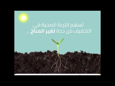 التربة الجيدة هي حليفنا الصامت في مواجهة تغير المناخ