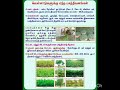வெள்ளாடுகள் பராமரிப்பு முறைகள்