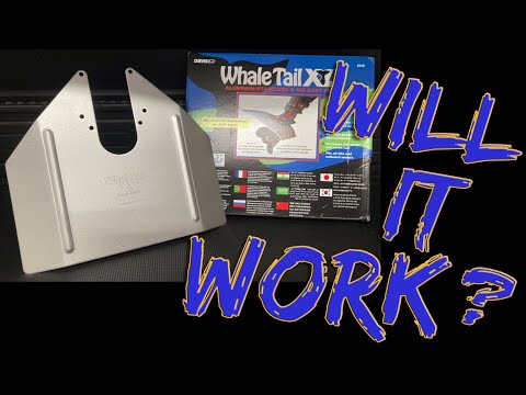 Whale Tail Test....Does it improve performance?  #whaletailtest #fyp