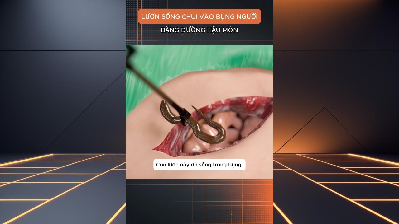 TỔNG HỢP NHỮNG VIDEO HAY NHẤT CỦA HỌC VÀ HỎI P18 #xuhuong #shorts  #khampha #shortsvideo #viralvideo