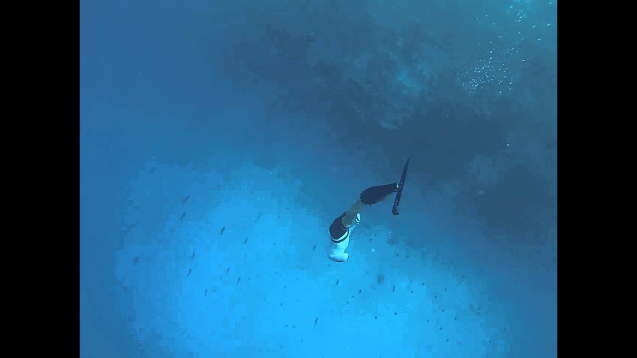 Rheeti beach resort, diving with Dol fin Orca 2
