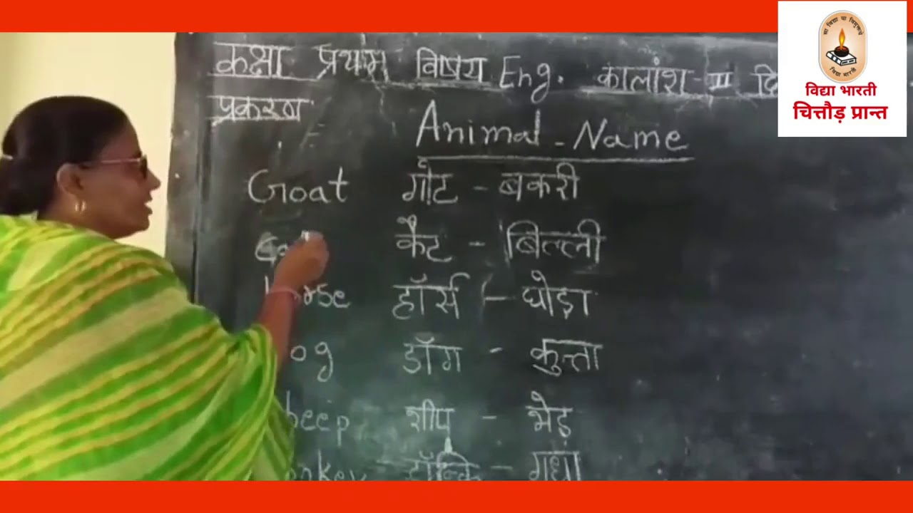 Animals-Name/English - YouTube